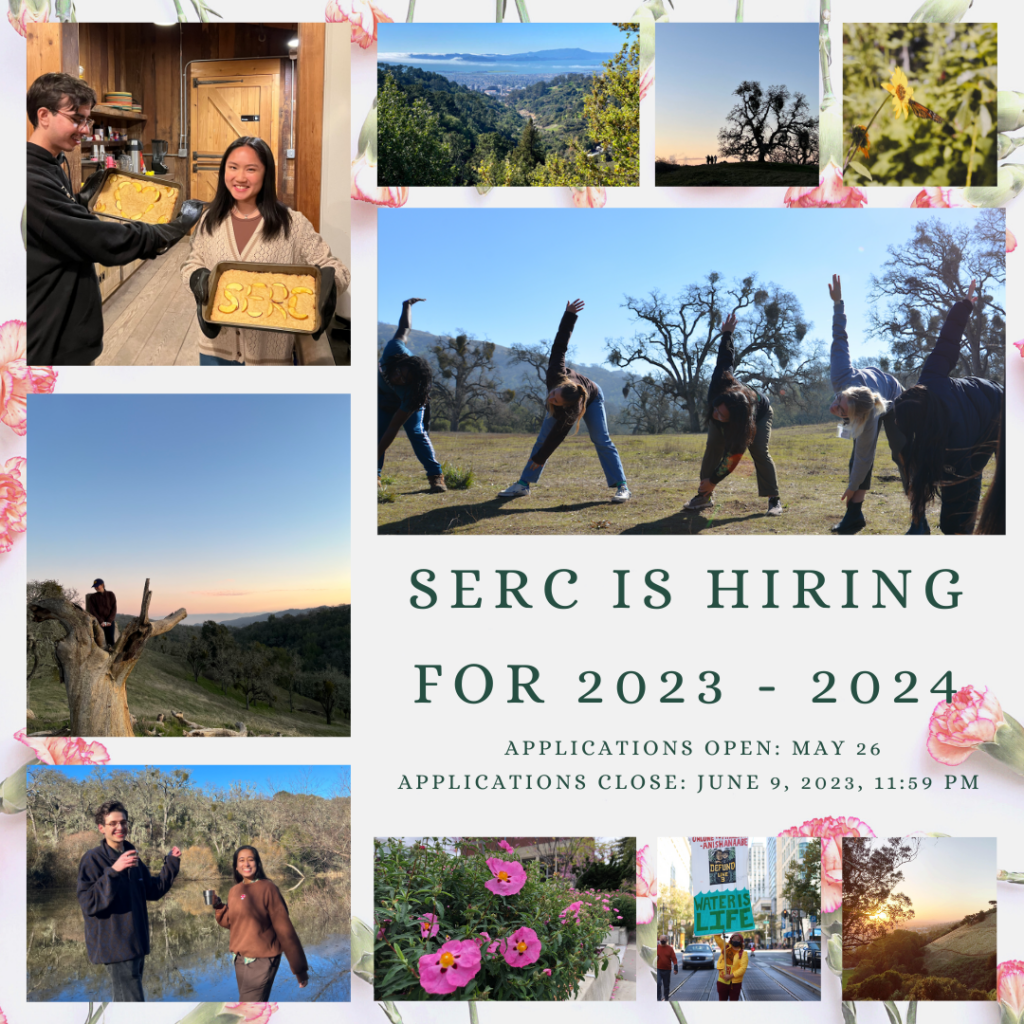 Phase 1 SERC Hiring